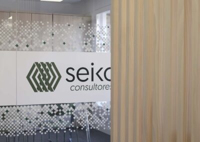 Seico consultores